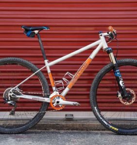 Sarif Cycle Worx custom 29 mountain bike