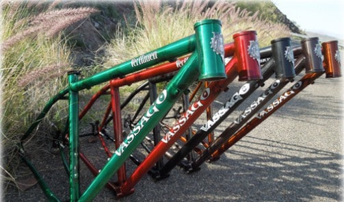 Vassago VerHauen 29" steel mountain bike frame
